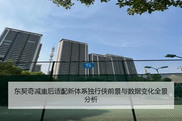东契奇减重后适配新体系独行侠前景与数据变化全景分析