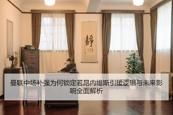 曼联中场补强为何锁定若昂内维斯引援逻辑与未来影响全面解析